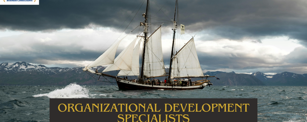 Organizational Development Specialists