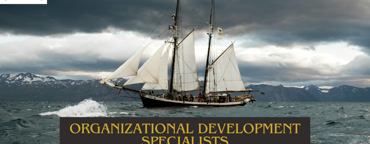 Organizational Development Specialists