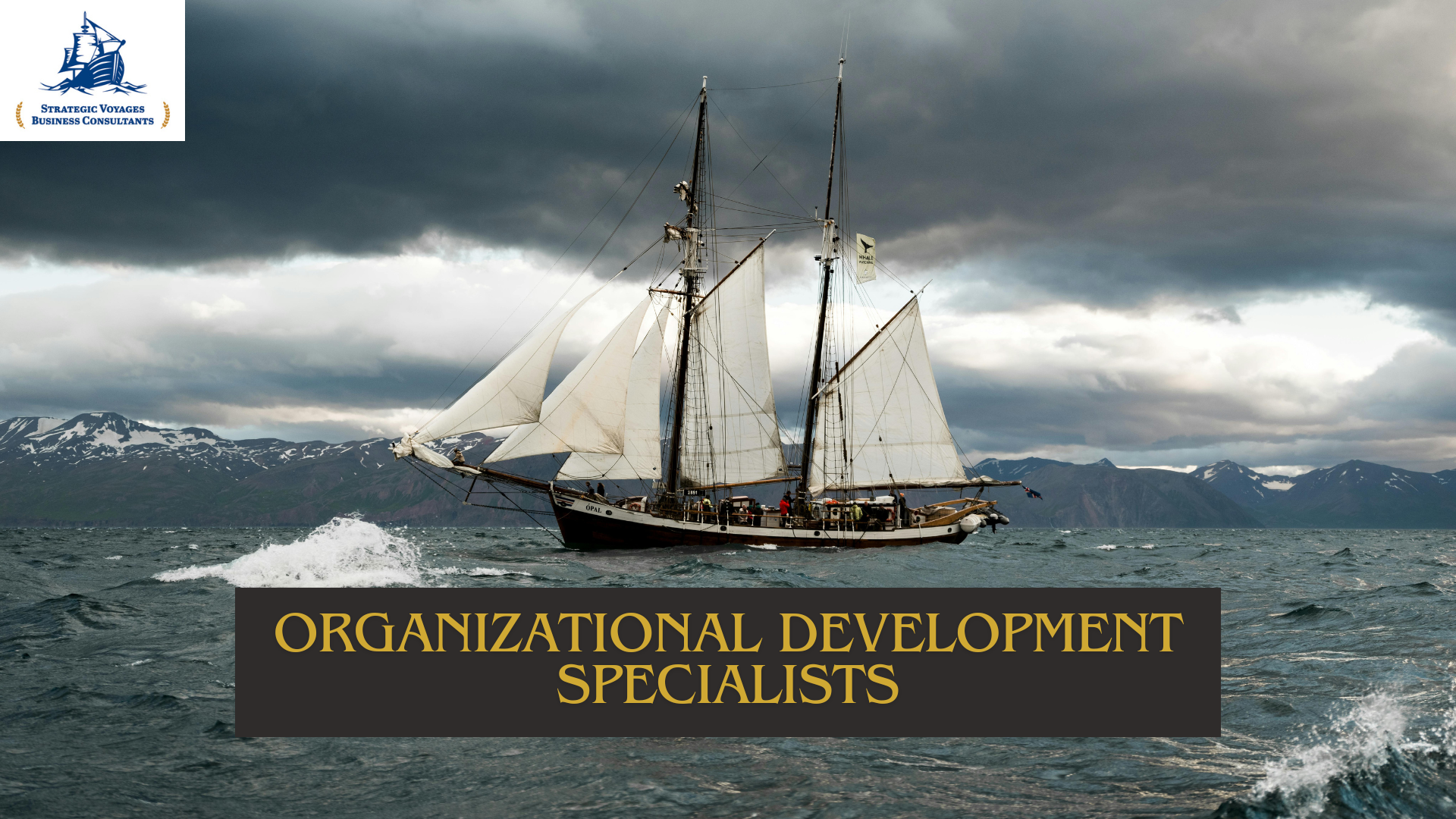 Organizational Development Specialists